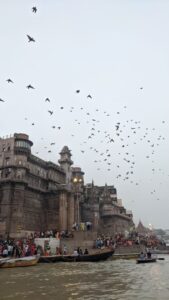 Birds flying in the sky over the temple